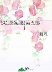 SCI谜案集第五部