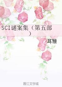 SCI谜案集（SCI迷案集）第五部